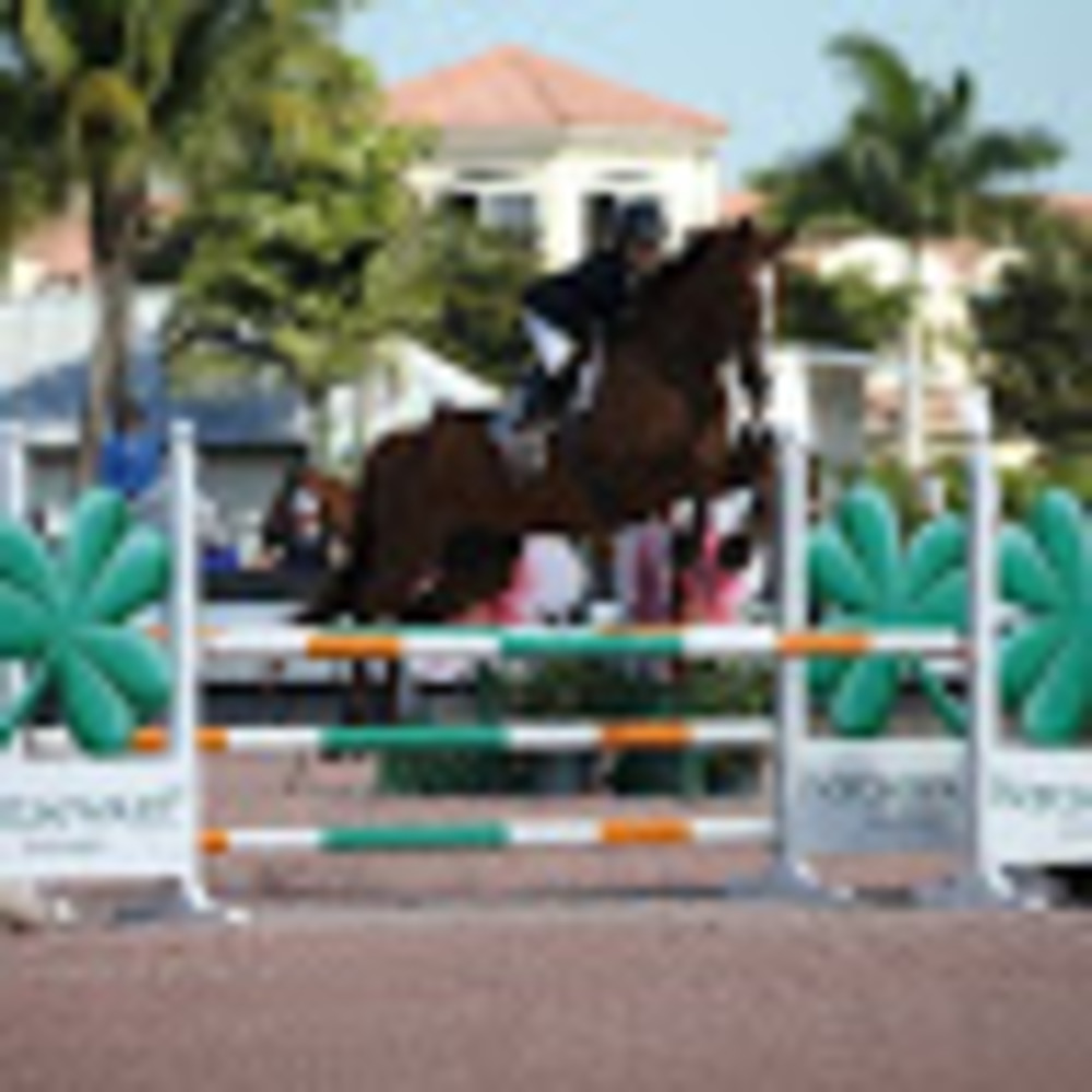 Meet your Posher, Ashley